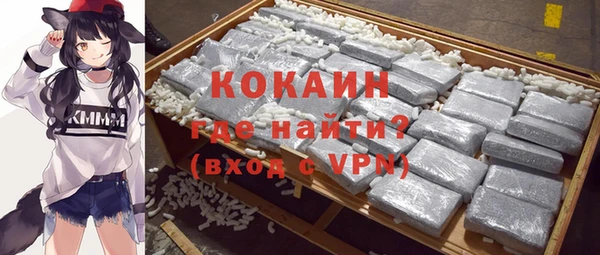 гидра Карпинск