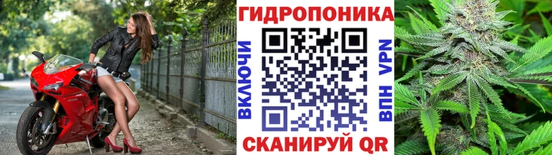 закладки  Екатеринбург  MEGA tor  Канабис SATIVA & INDICA 